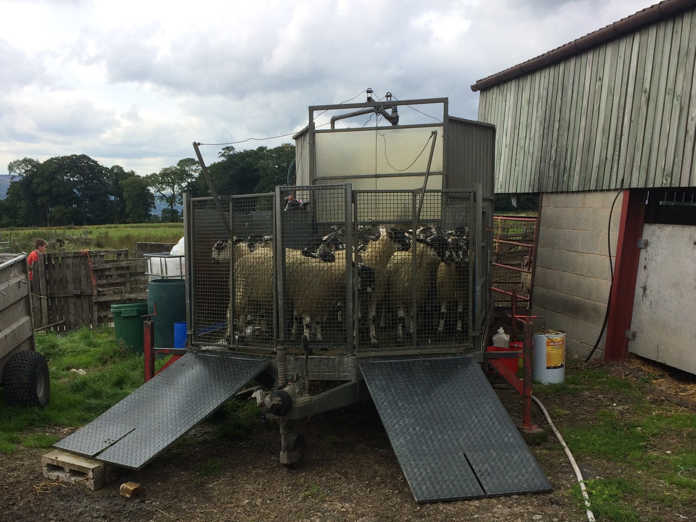 Getting out on the farm... Rural Insurance Group